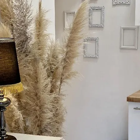 Apartment Petite Boudoir *